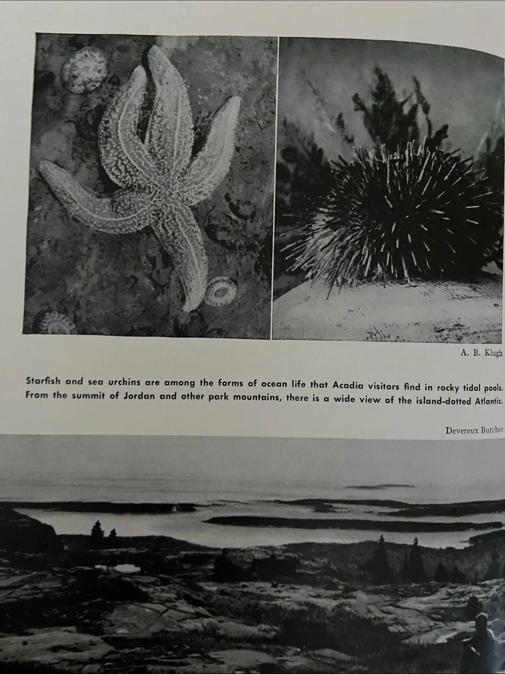 Vintage 1960s 60s USA U.S. American National Park & Monuments book Parks America